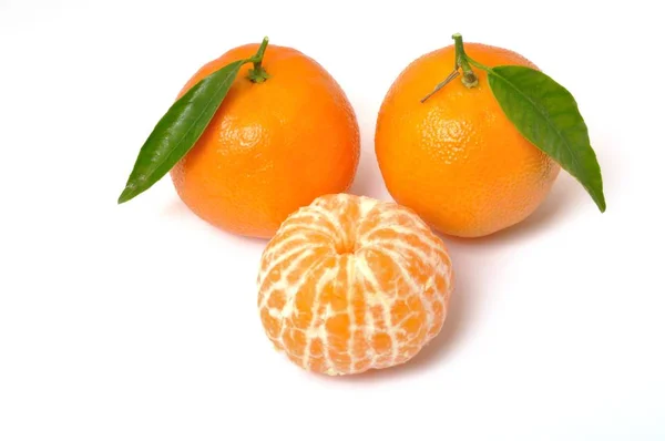 Clementine egy fehér háttér Stock Kép