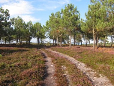 Brittany kıyılarında, Erquy bir yol