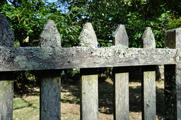 Houten poort in veld — Stockfoto