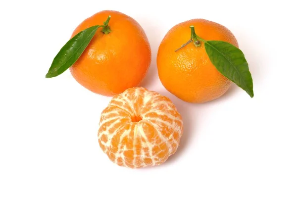 Clémentine orange sur fond blanc — Photo