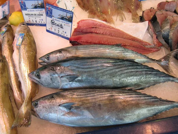 Pesce sul mercato — Foto Stock