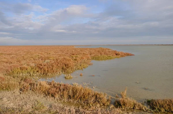 Regionaal natuurpark van de Camargue — Stockfoto