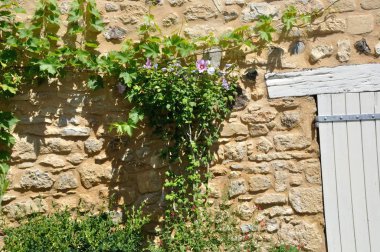 güneşli bir duvara asma 