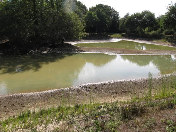 干池, 裂开的泥土 — 图库照片