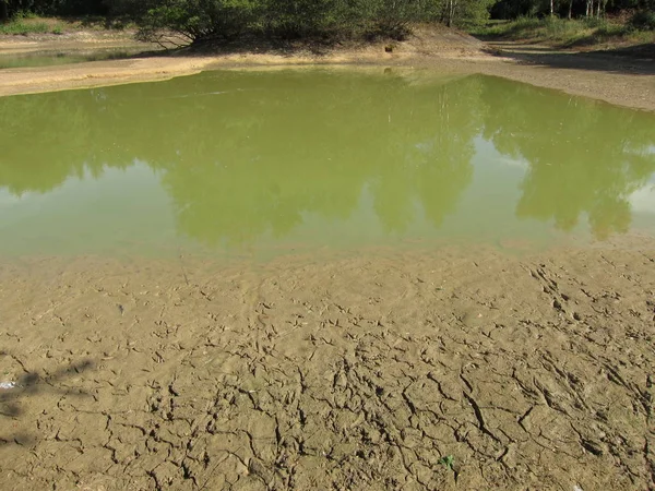 Trockener Teich, Spuren von Vogelfüßen — Stockfoto