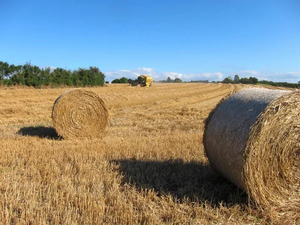 Rundballen aus Stroh auf abgeernteten Feldern — Stockfoto