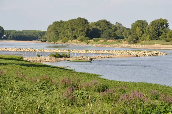 The edges of the Loire at Bouchemaine — Stock Photo, Image