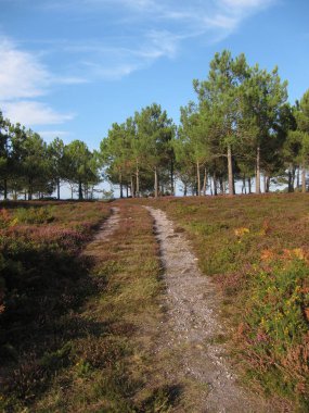 Brittany kıyılarında, Erquy bir yol