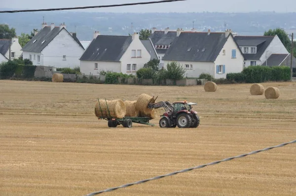 Plerin, france -august 07 2018: traktor erntemaschine walzt stroh bei — Stockfoto