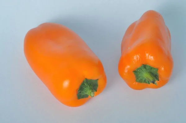 Oranje peper — Stockfoto