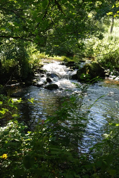 A Gouet szélén — Stock Fotó