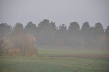 Plerin de sis kırsal