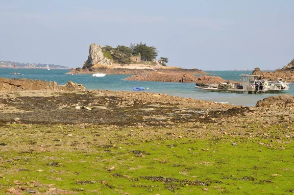 La costa de Bretaña en Loguivy —  Fotos de Stock