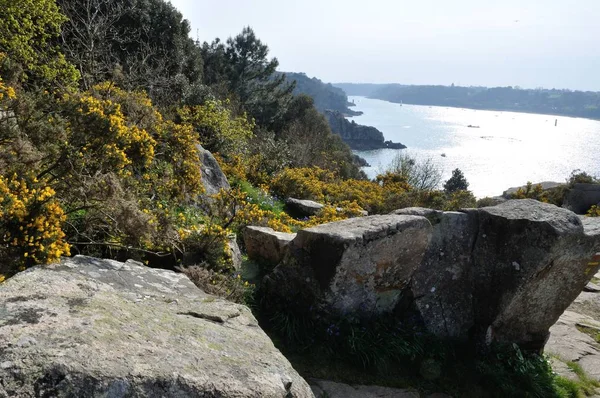 La costa de Bretaña en Loguivy —  Fotos de Stock