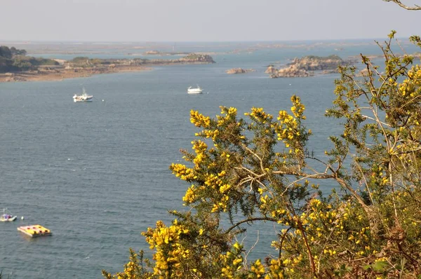 La costa de Bretaña en Loguivy — Foto de Stock