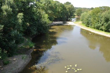  Anjou'da Layon nehri