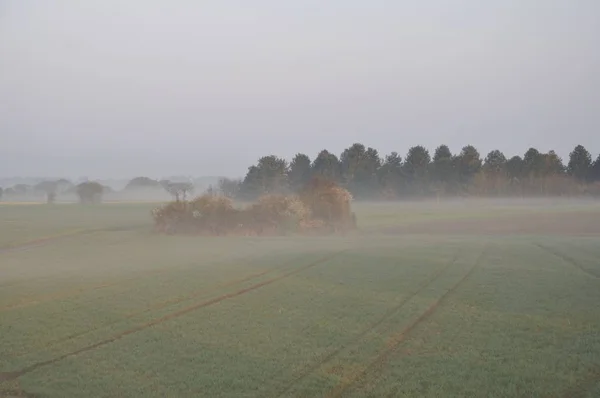 The countryside in the mist at Plerin — Stock Photo, Image