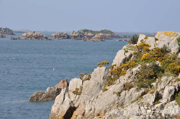 A costa da Bretanha em Loguivy — Fotografia de Stock