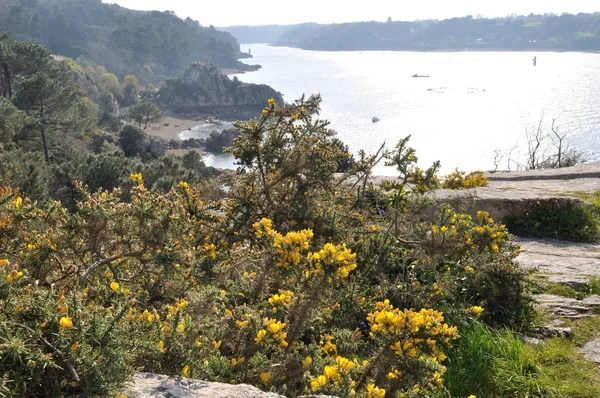 A Bretagne-i tengerparton Loguivy — Stock Fotó