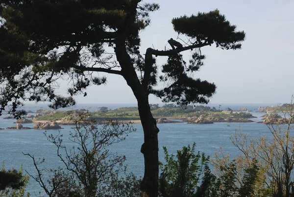 The island of Brehat in Brittany — 스톡 사진