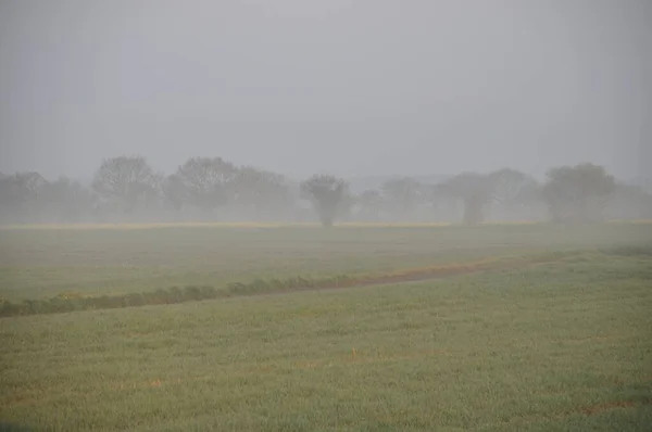 Die Landschaft im Nebel bei Plerin — Stockfoto