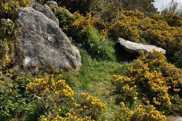 A Bretagne-i tengerparton Loguivy — Stock Fotó