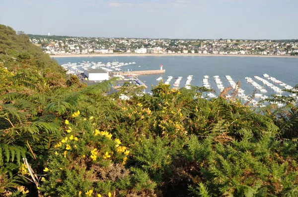 Erquy Harbor sett utifrån udden — Stockfoto