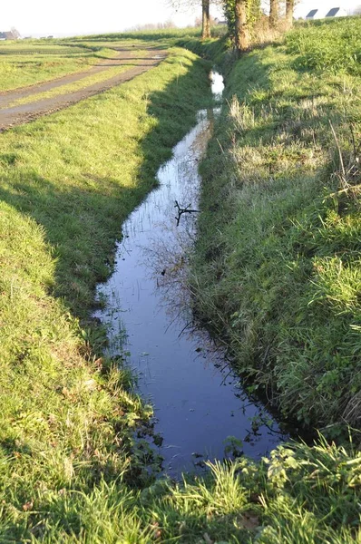 Ditch Fylld Med Vatten Bretagne — Stockfoto