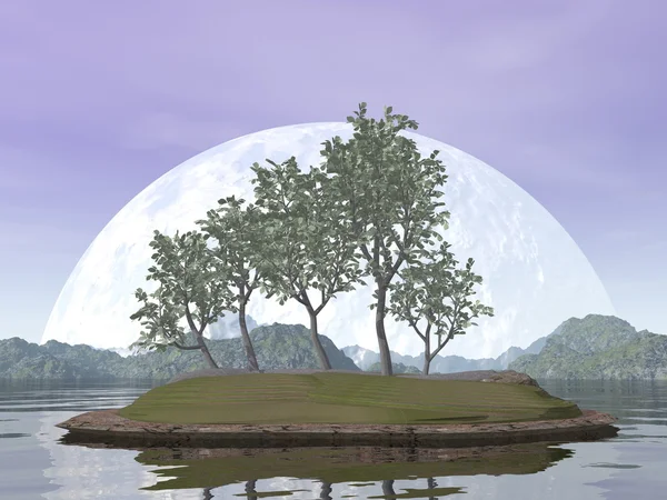 Плавне листяне дерево в'язбонсай - 3D візуалізація — стокове фото