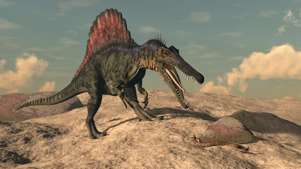 A Spinosaurus dinoszaurusz vadászat egy kígyó - 3d render — Stock Fotó