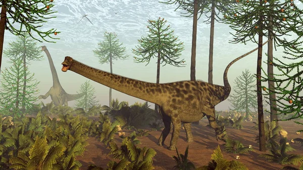 Diplodocus dinosaurier bland araucaria träd - 3d render — Stockfoto