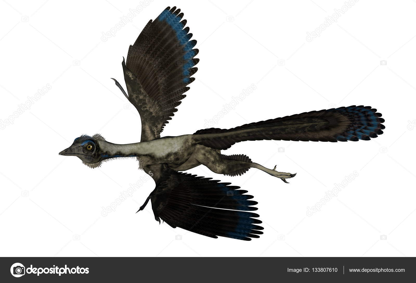 flying dinosaur with crest on head