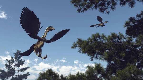 Dinosauri uccelli Archaeopteryx che volano - rendering 3D — Foto Stock