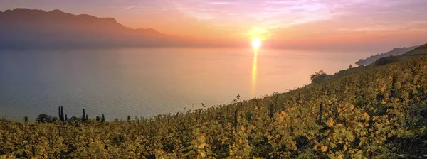 Panorama Lavaux bölgesindeki, Vaud, İsviçre — Stok fotoğraf