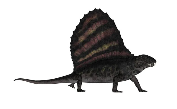 small dinosaur with sail on back