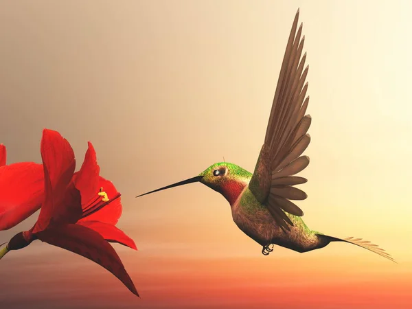 Colibrì dalla gola rubino - rendering 3D — Foto Stock