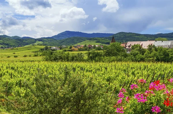 Elsass Landschaft, Frankreich — Stockfoto