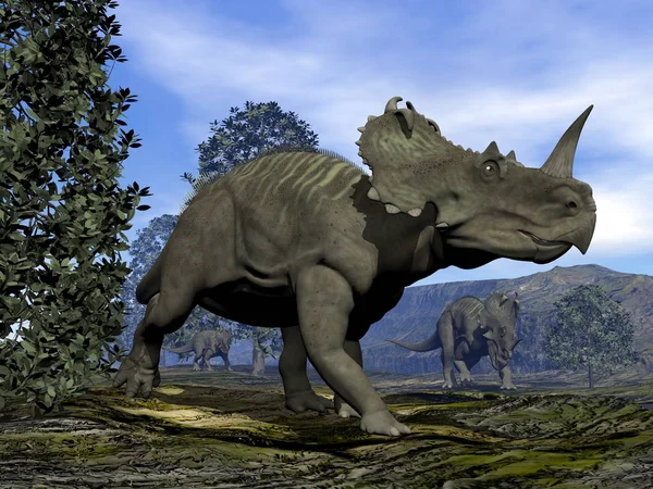 Dinosaurios Centrosaurus - 3D render — Foto de Stock