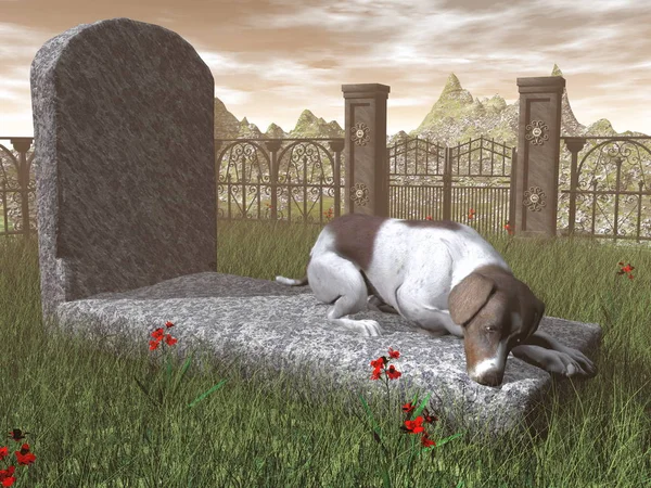 Dog on a tombstone - 3D render — Stok Foto