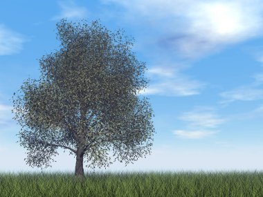 Amerikan kayın ağacı - 3d render