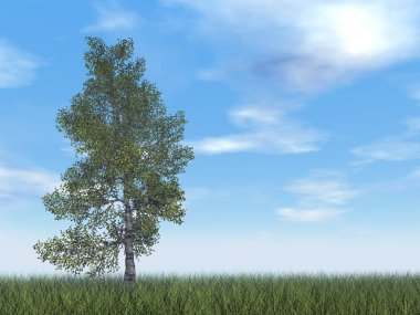 Kağıt huş ağacı - 3d render