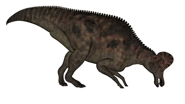Dinossauro Corythosaurus - renderização 3D — Fotografia de Stock