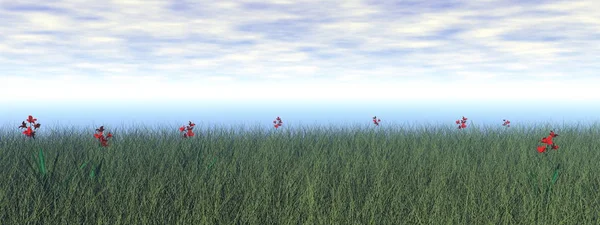 Травянистые луга с цветами - 3D рендеринг — стоковое фото