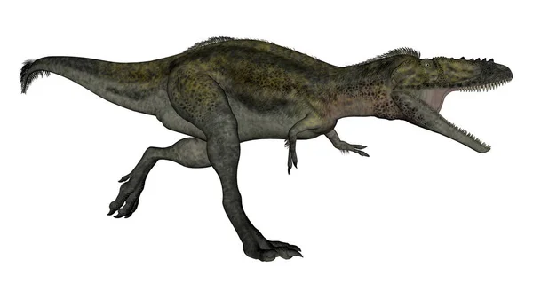Alioramus 공룡-3d 렌더링을 실행 — 스톡 사진