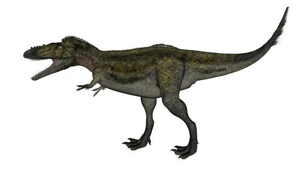 Alioramus dinosaurier walking - 3D render — Stockfoto