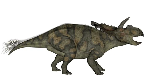 Alberceratops dinosaur - 3D рендеринг — стокове фото