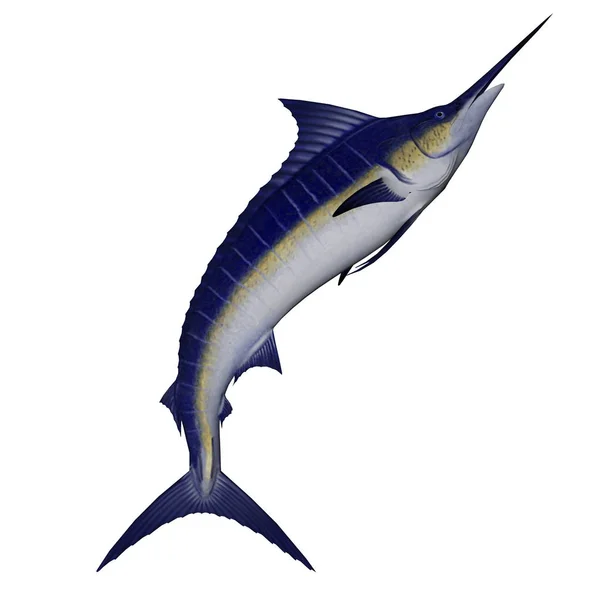 Marlin salto de peixe - renderização 3D — Fotografia de Stock