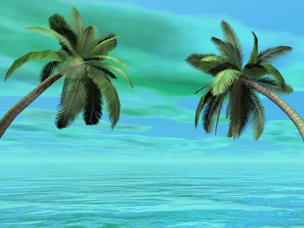 棕榈树-3d 渲染 — 图库照片