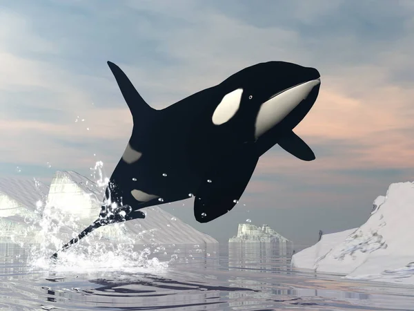 Orka skok - 3d renderowania — Zdjęcie stockowe