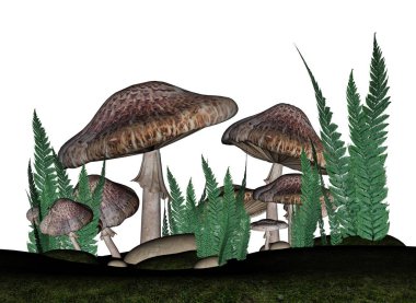 Mantar - 3d render kahverengi